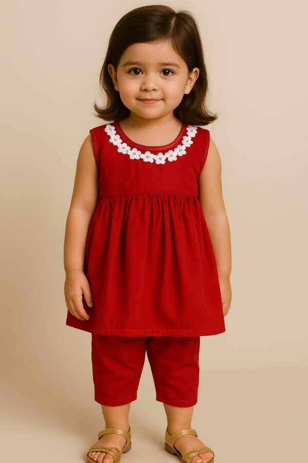 Elegant Lace Frock for Your Little Princess
