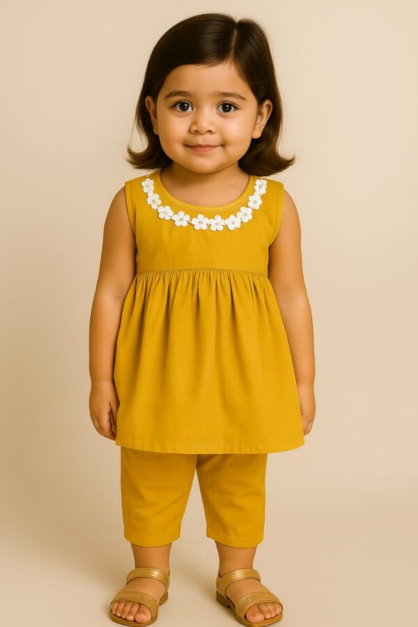 Elegant Lace Frock for Your Little Princess